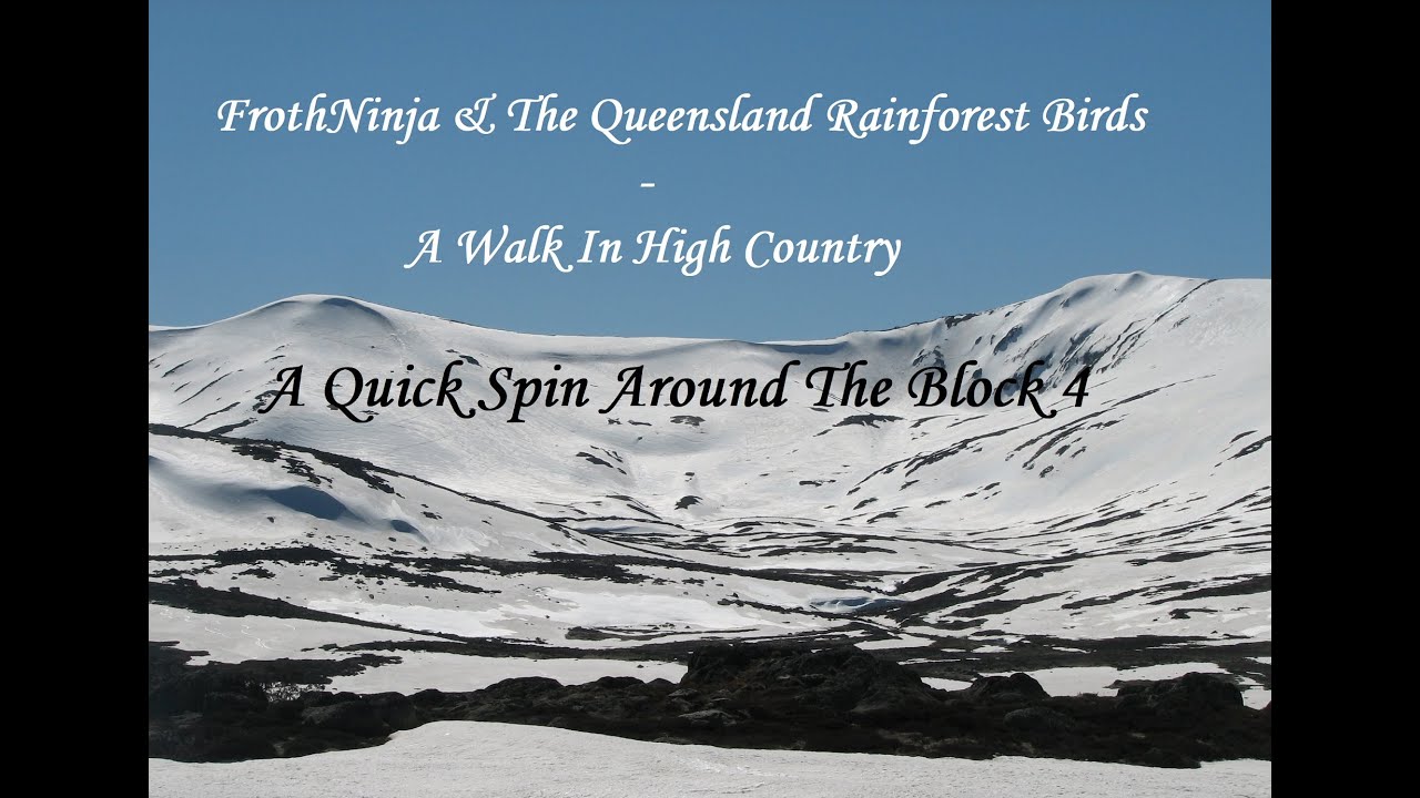 A Quick Spin Around The Block 4:  FrothNinja & The Qld Rainforest Birds - A Walk In The High Country