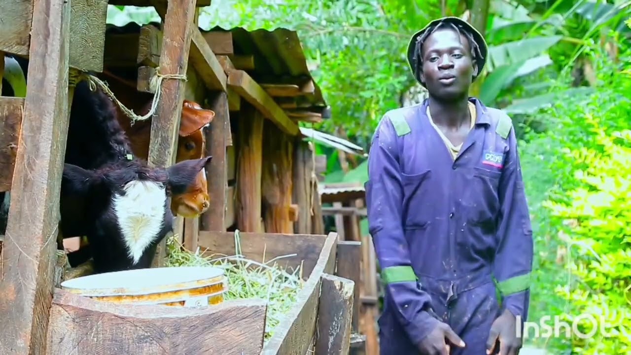 Biological official video