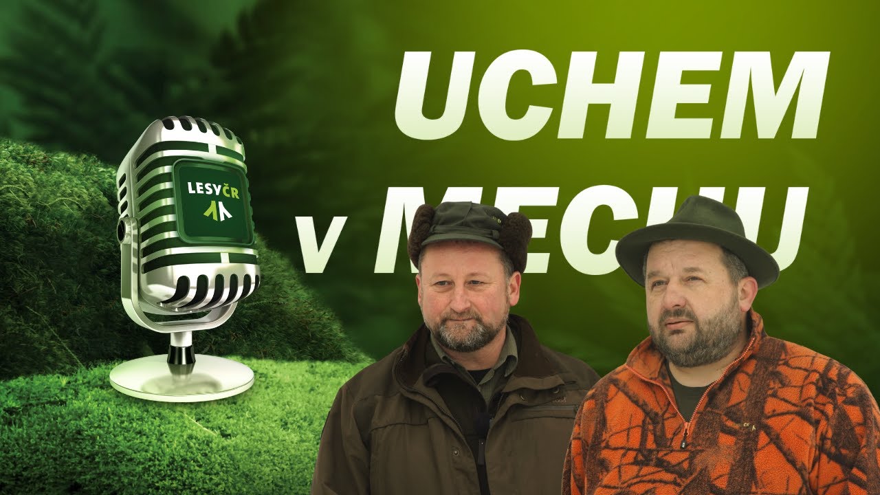 UCHEM V MECHU o novele lesního zákona