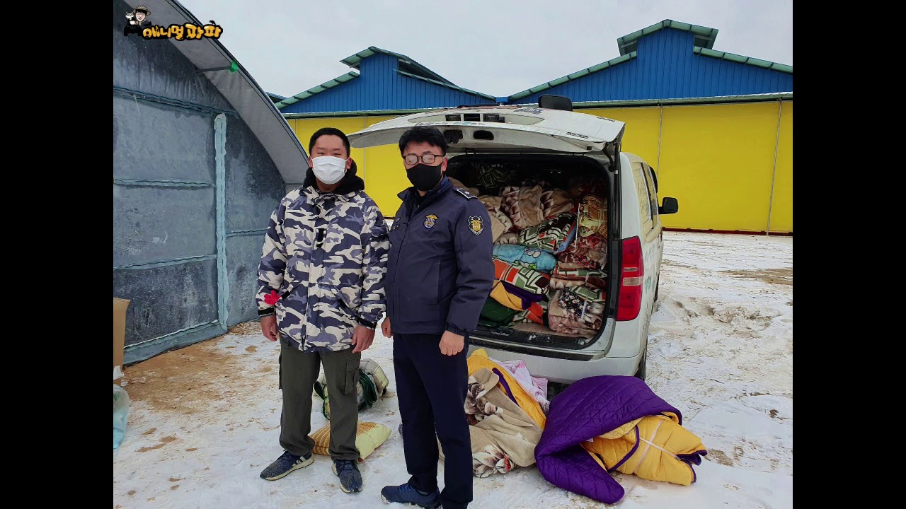 김포불법개농장 구조 아이들 봉사