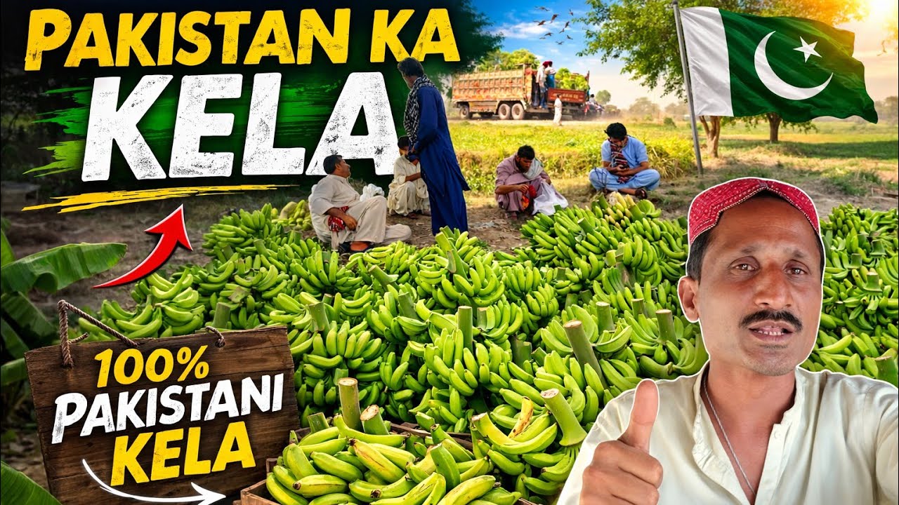Pakistan 🇵🇰 ka kela 🍌 Jo ke Sindh se Punjab ja raha hai