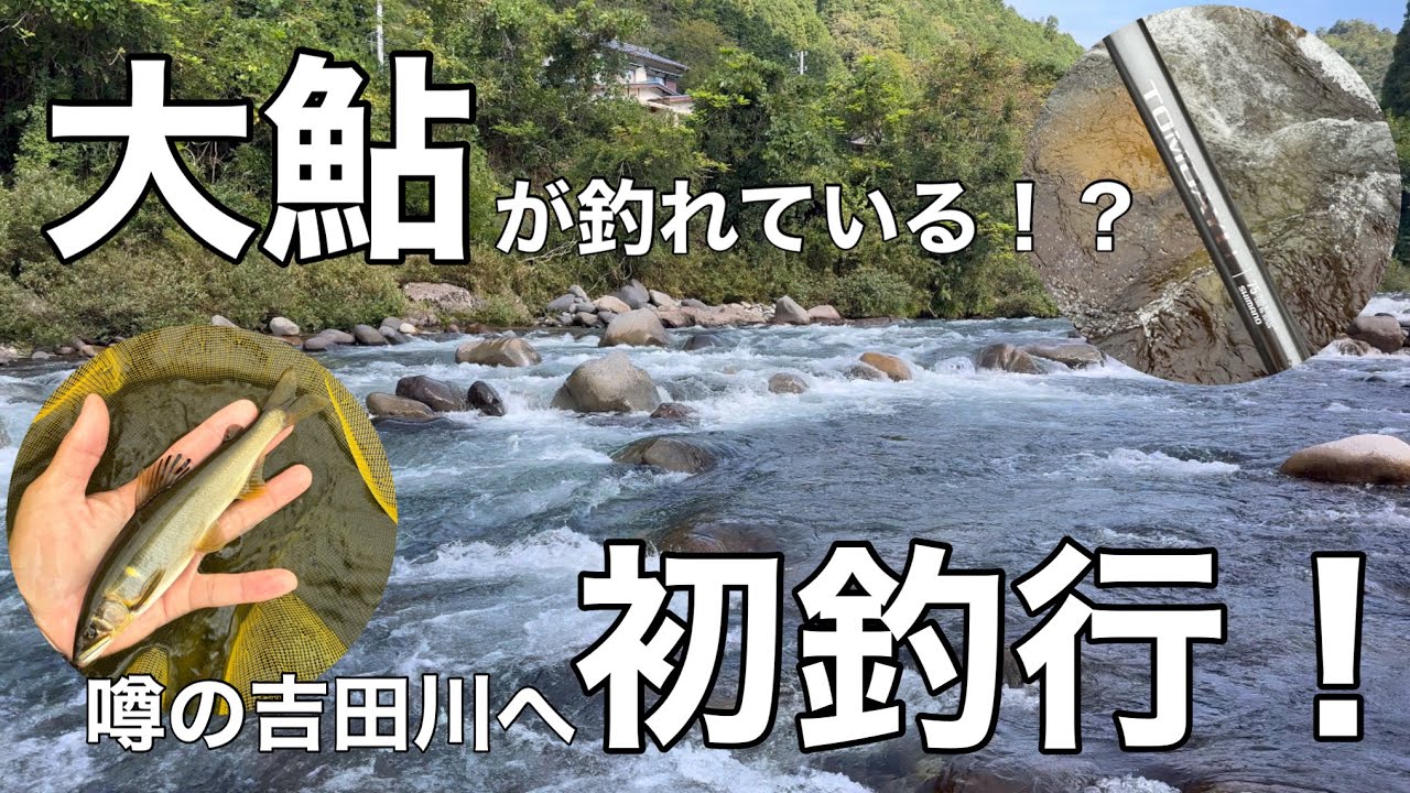 初めての長良川支流 吉田川へ！噂の大鮎を狙う！