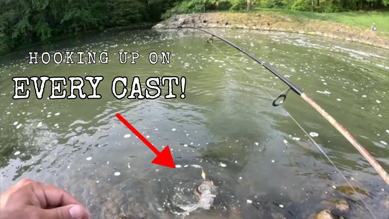 This SPILLWAY Was LOADED With FISH! | Fishing PYMATUNING Reservoir!