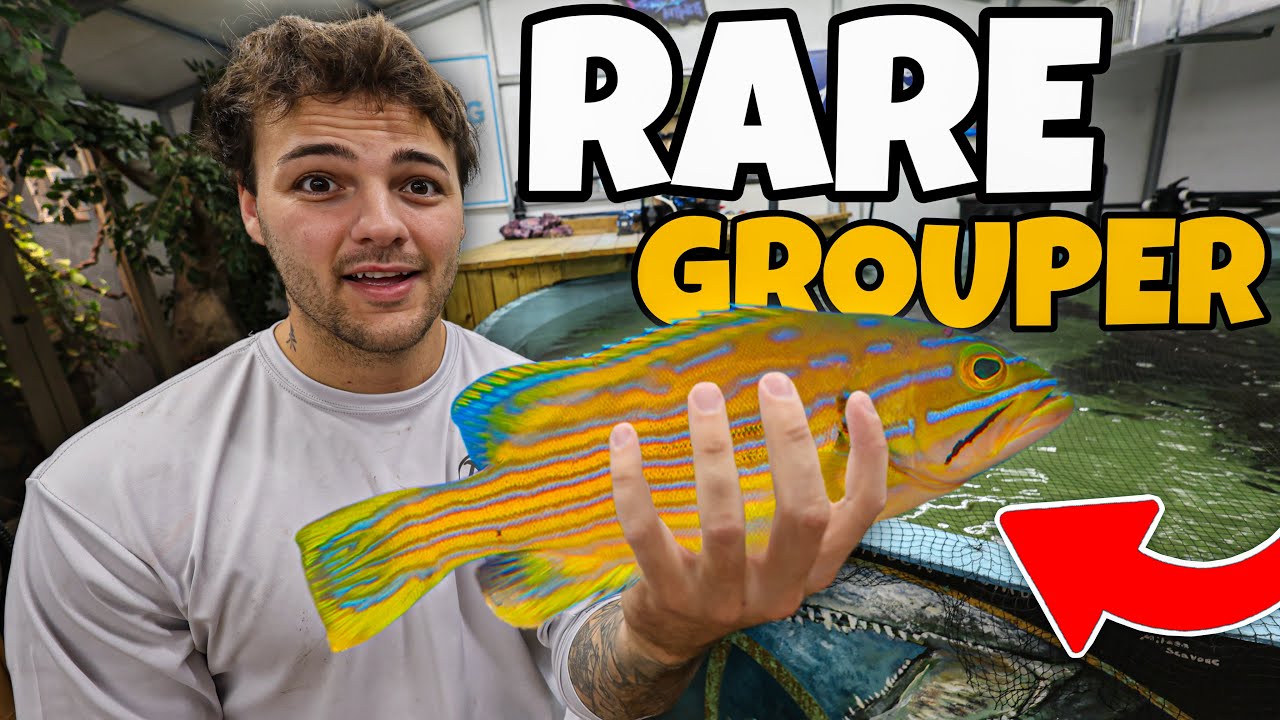 FISH SHOPPING for My BackYard PONDS!!