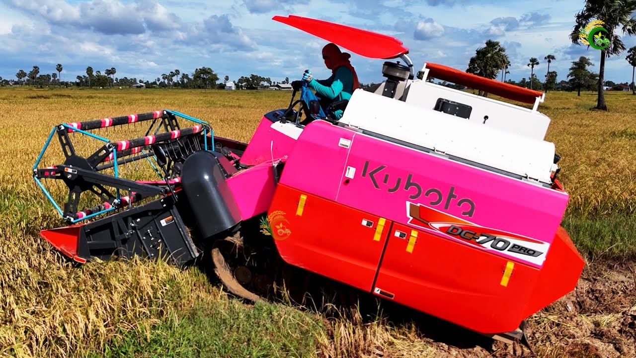 First Start Action Harvester Machine Cropping Rice ម៉ាស៊ីនច្រូតស្រូវស្រាលរបស់កសិករខ្មែរ