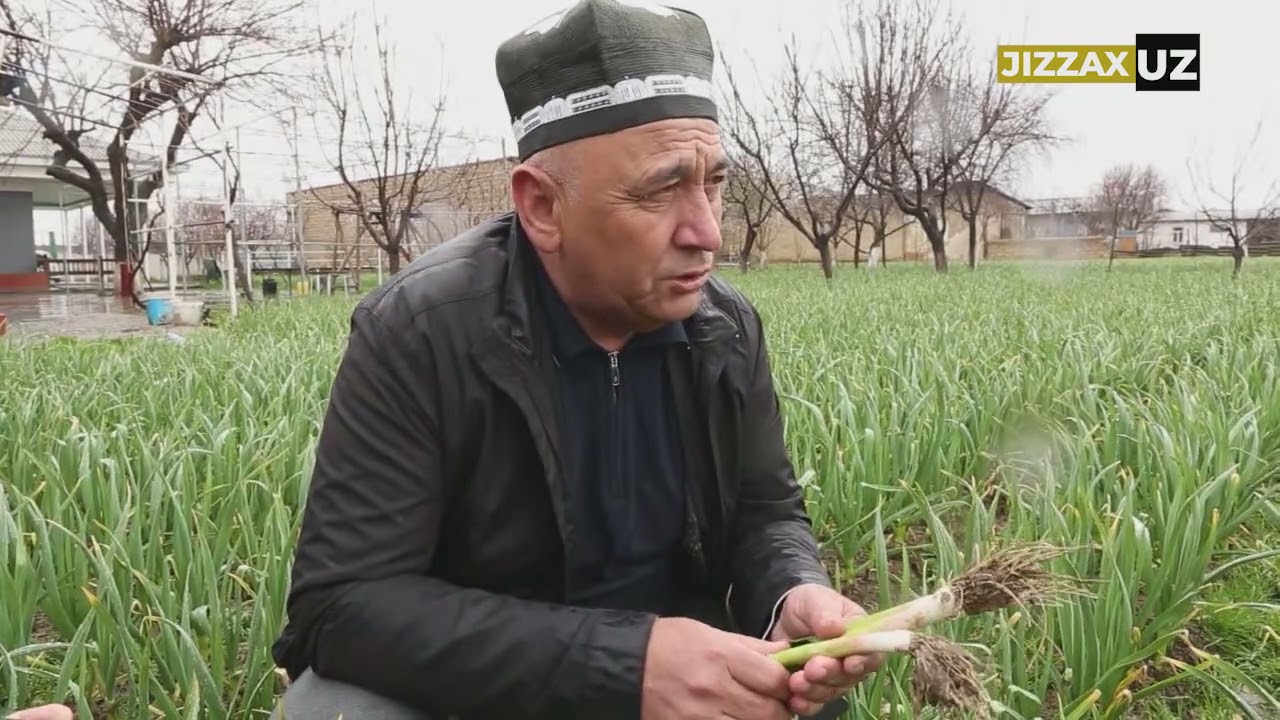 Mingchinor mahallasida tomorqachilik orqali daromadlar oshirilmoqda