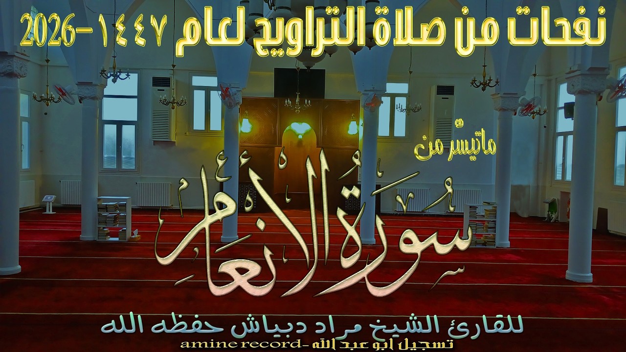 صلاة التراوح اللية 13 من مسجد التوبة لعام 1447-2026 المقرئ الشيخ مراد دبياش حفظه الله