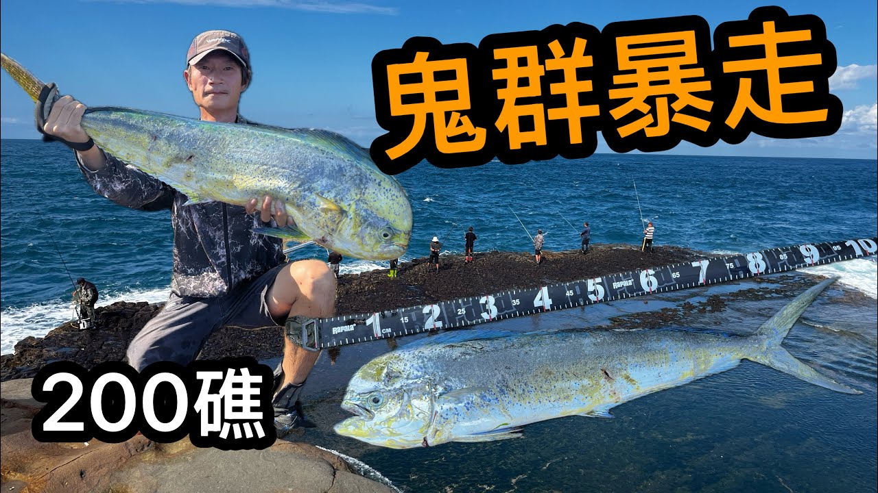 一雪前恥 拿下本日最大尾 打龜久也是會中魚的 200礁鬼頭刀整群靠岸 全場都是歡呼聲 #200礁 #鬼頭刀 #岸拋 #水球 #fishing  #海男釣魚頻道 