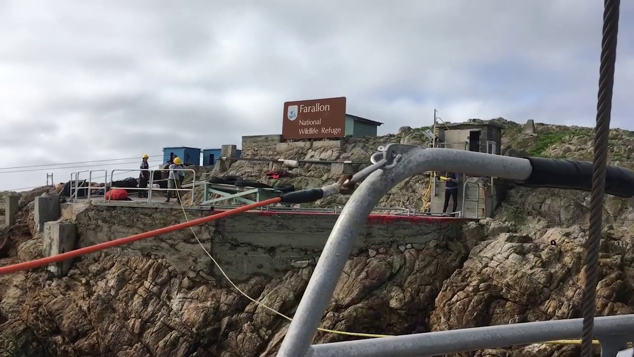 Farallon Islands: East Landing