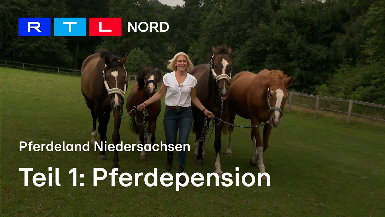 Pferdepension mit computergestützter Fütterung & Aktivstall