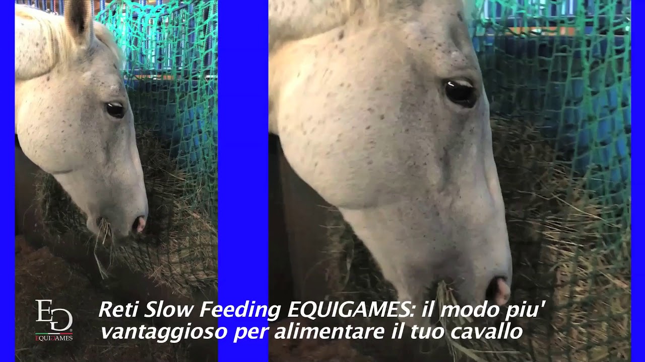 Reti Slow Feeding EQUIGAMES - Zero spreco di fieno