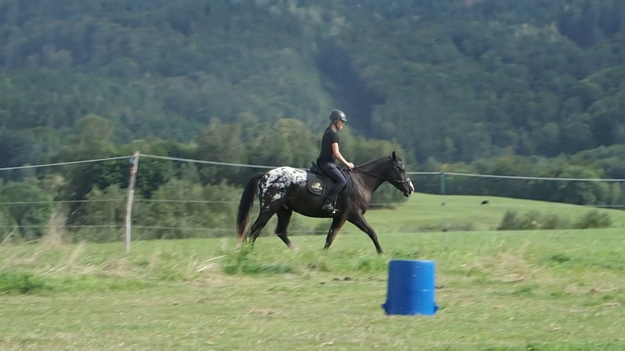 #11 Argo - riding