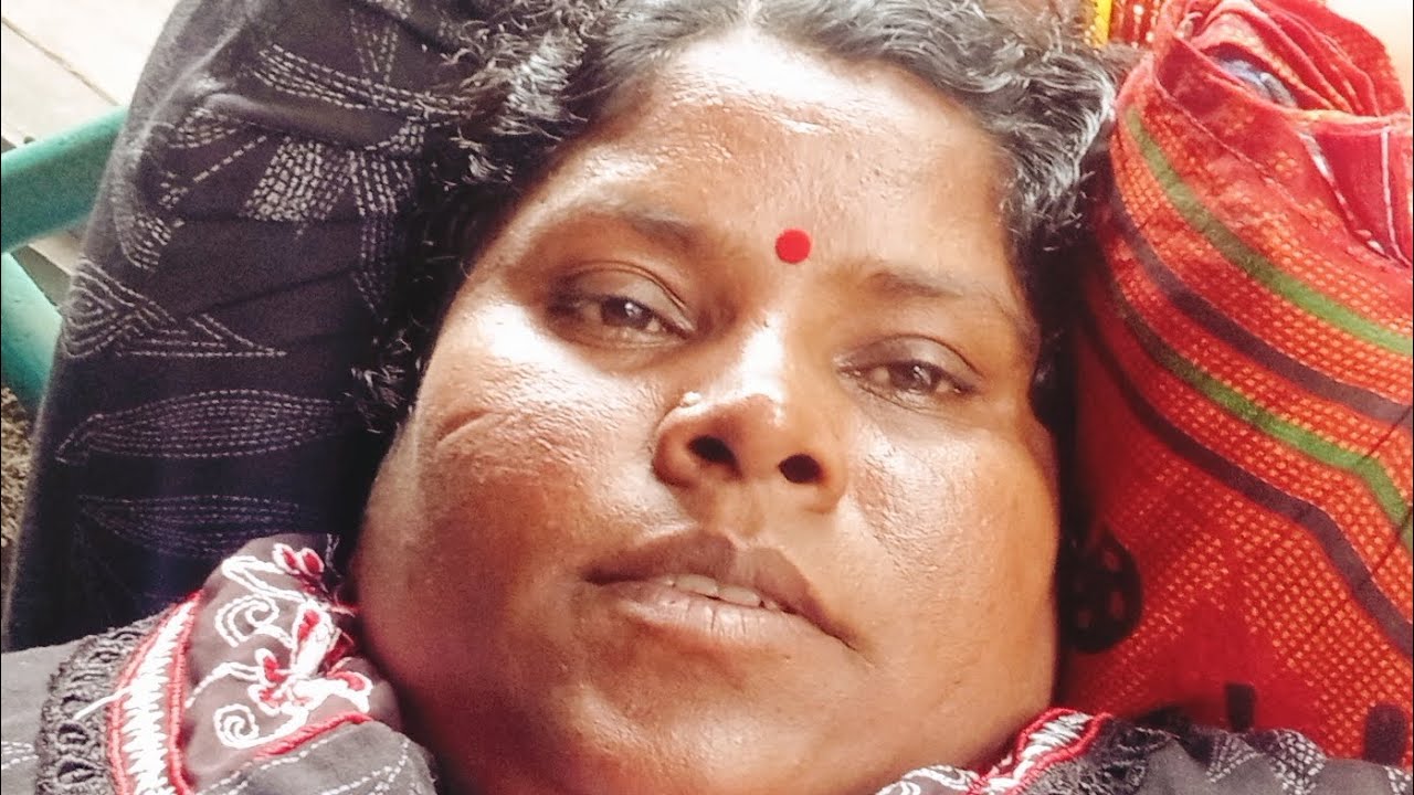 Nibandh bus