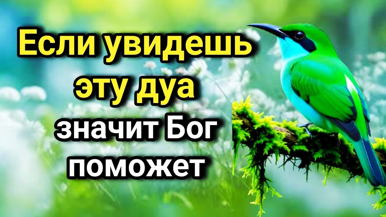 🌟💫 ОНА ВАС СПАСЁТ! Поверьте, лучше не пропускать её! ПОСЛЕ ЭТОЙ дуа Я ПОВЕРИЛА В ЧУДО! 🤲💯