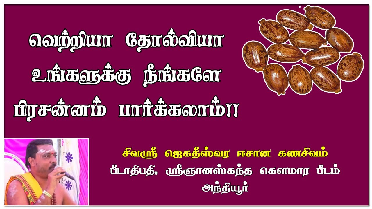 எளிய முறையில்  நீங்களே பிரசன்னம் பார்க்கலாம் | Amanakku prasannam