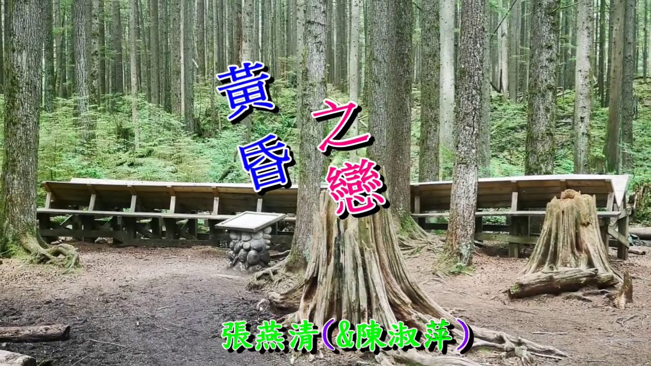 黃昏之戀---------張燕清(&陳淑萍)