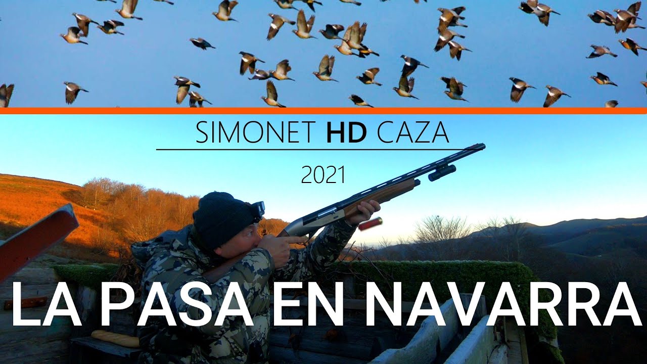 La 𝗣𝗔𝗦𝗔 de 𝗧𝗢𝗥𝗖𝗔𝗖𝗘𝗦 en NAVARRA 🎥 Viaje al Pirineo a la Paloma Torcaz