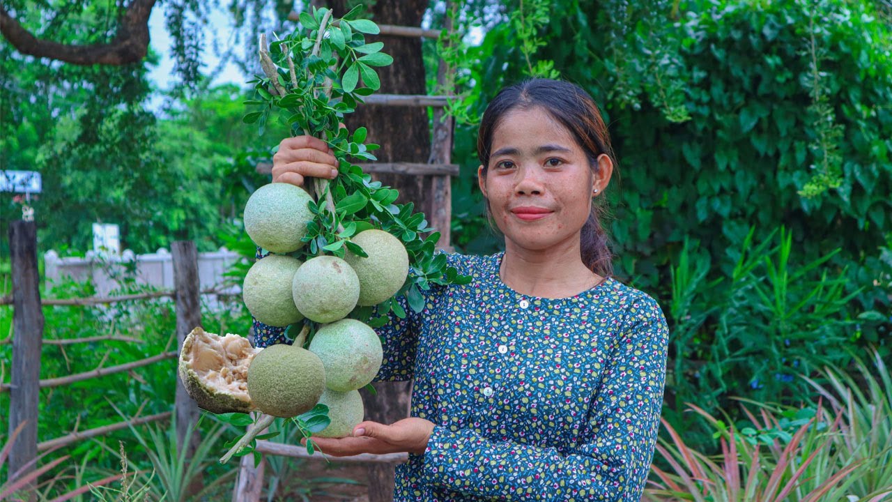 Wood apple in my homeland and making spicy wood apple salad - RatanakNiky