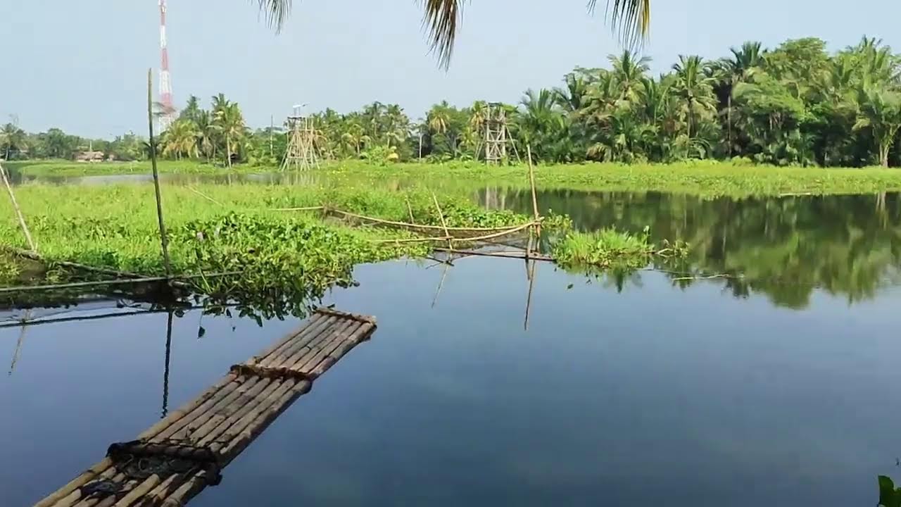 Dulur mancing 88 fishing  !! #fishing