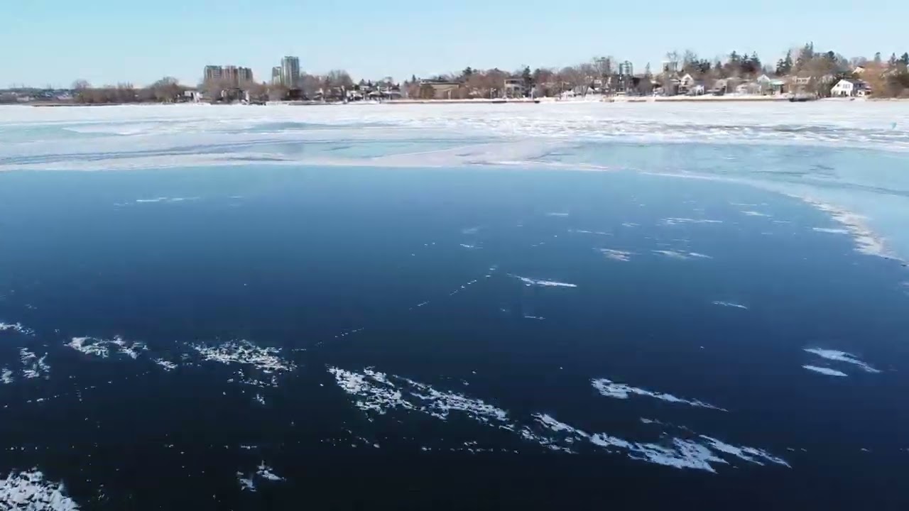 Sunny @ Frenchman's Bay