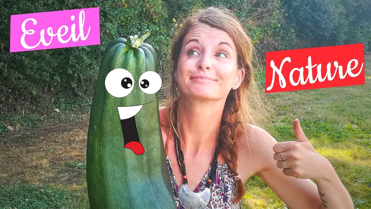 faire un premier potager avec les enfants - éveil nature