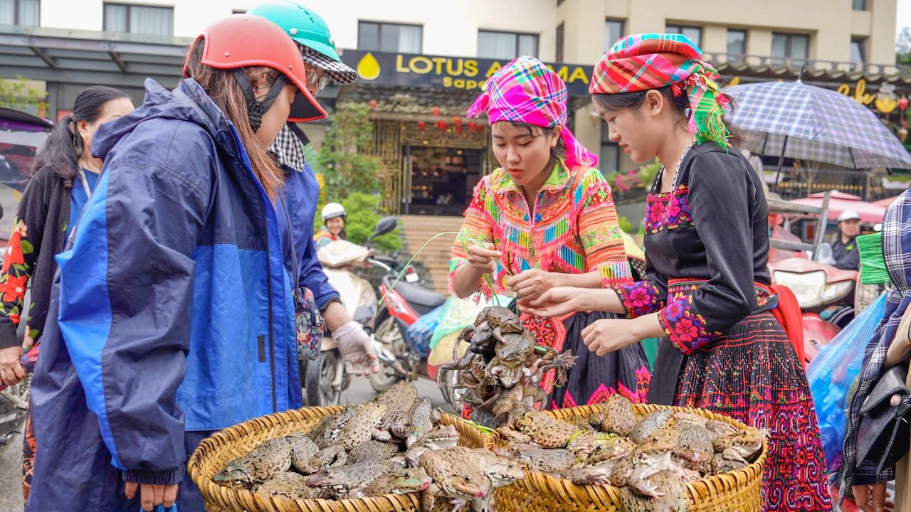 Harvesting & Find Frog Goes to market sell - Cooking - Live with nature - Bếp Trên Bản