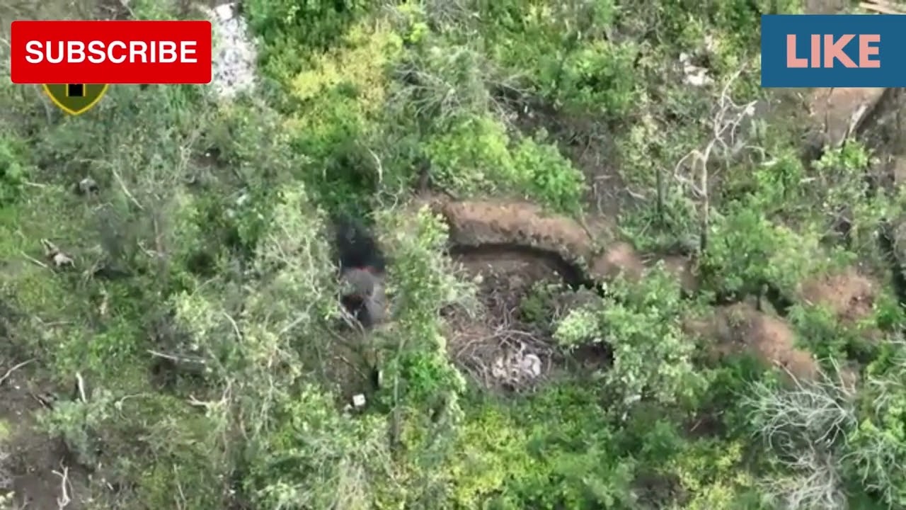 Shocking video from Ukraine: Ukrainian Infantry Crush Occupiers in Bakhmut Raid