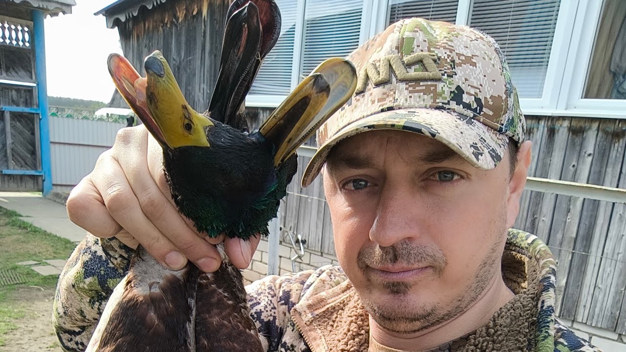 ОХОТА НА УТКУ И ГУСЯ , СЕРАЯ ВОРОНА ТОЖЕ В ДЕЛЕ . 