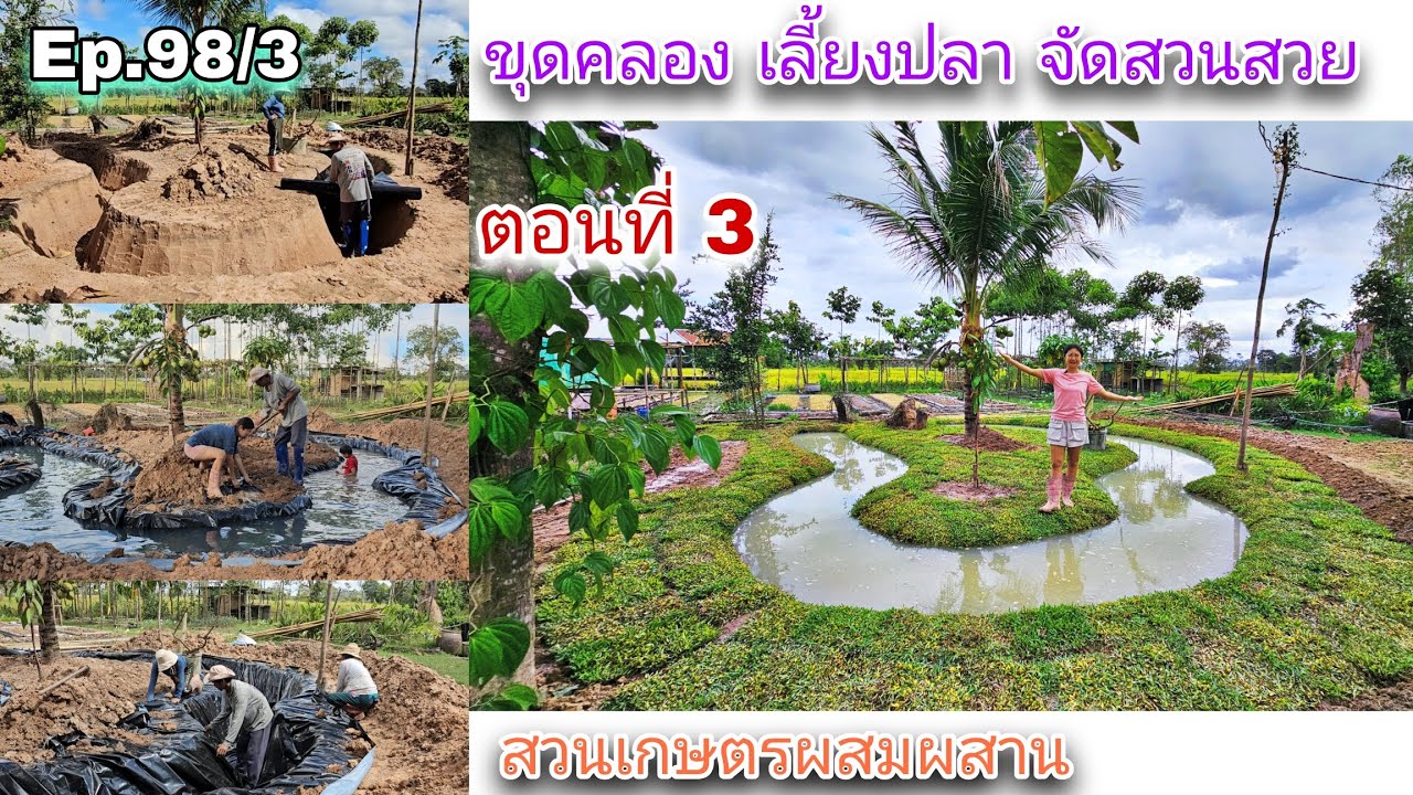Ep.98/3 ขุดคลอง เลี้ยงปลา จัดสวนสวย | ตอนที่ 3 