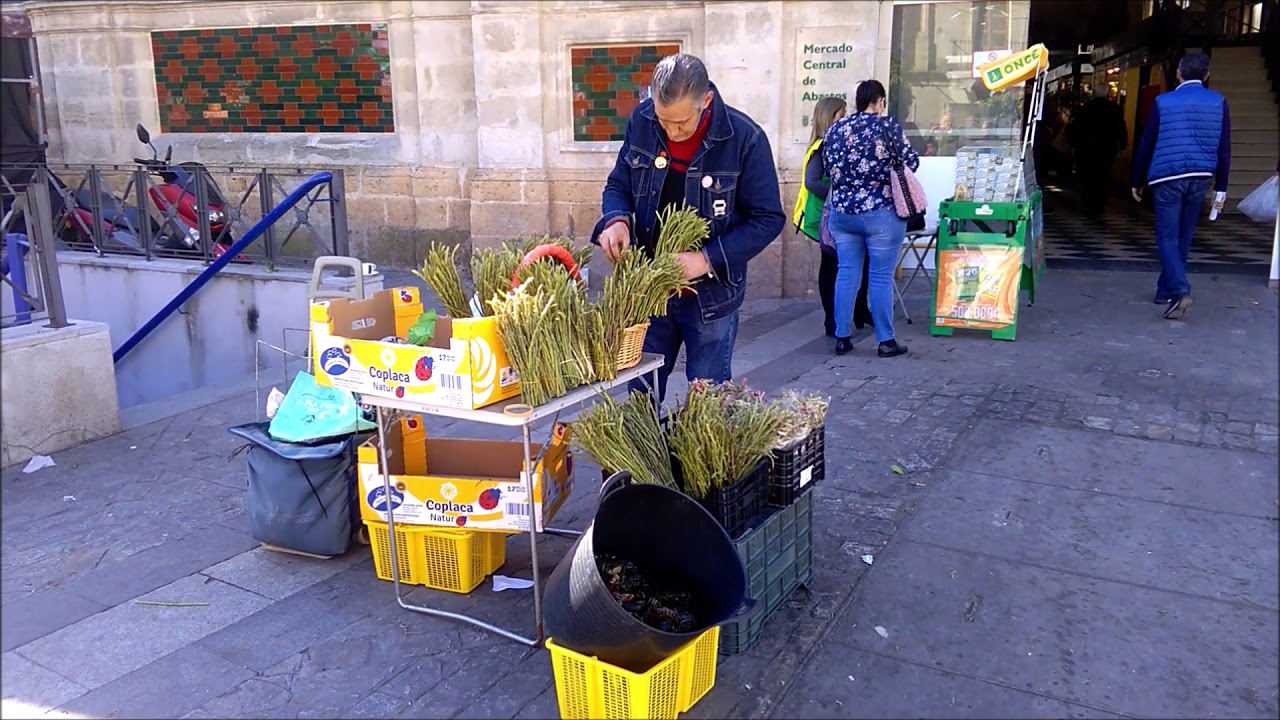 VIDEO JEREZ DE LA FRONTERA