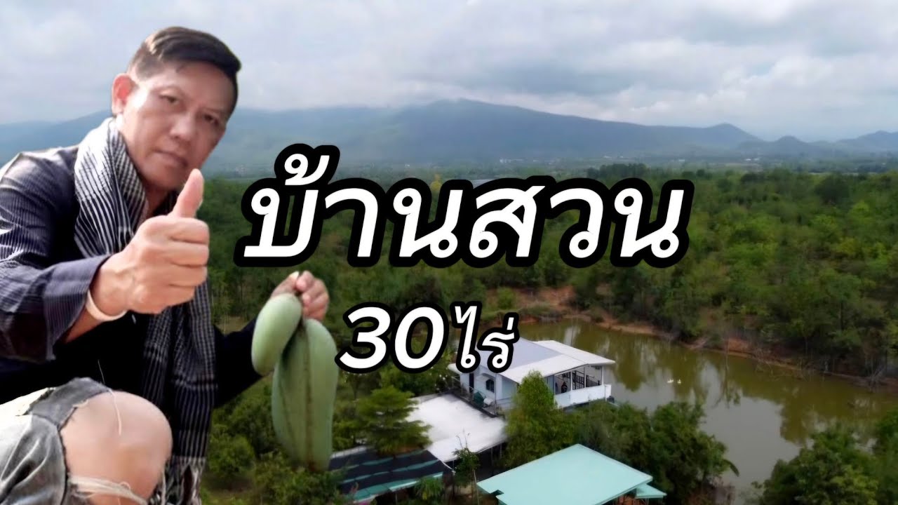 บ้านสวนEP025.เนื้อที่30ไร่ราคา7.5ล้านอ.บ้านโฮ่ง/ลำพูน