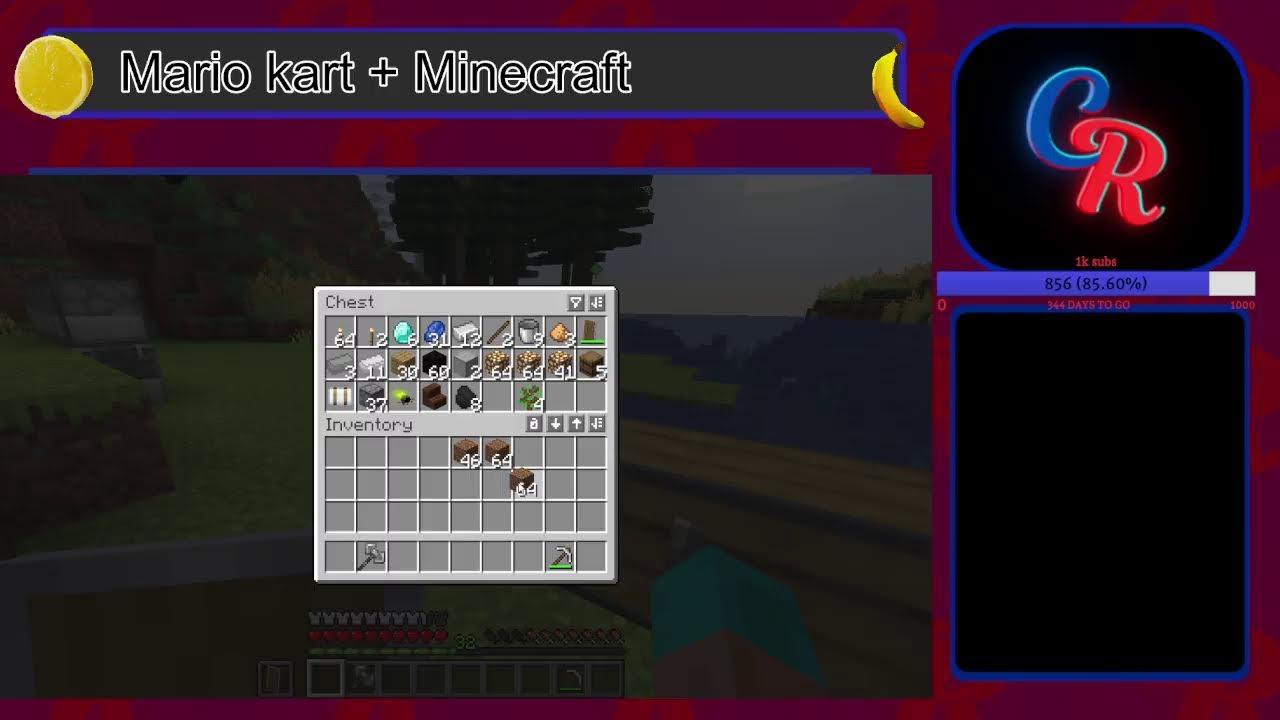 MARIO KART 8 DELUXE & Minecraft |  hello