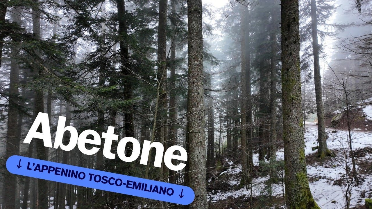 Abetone - Viaggio sull'appenino Tosco-Emiliano (Ponte sospeso + Cutigliano)