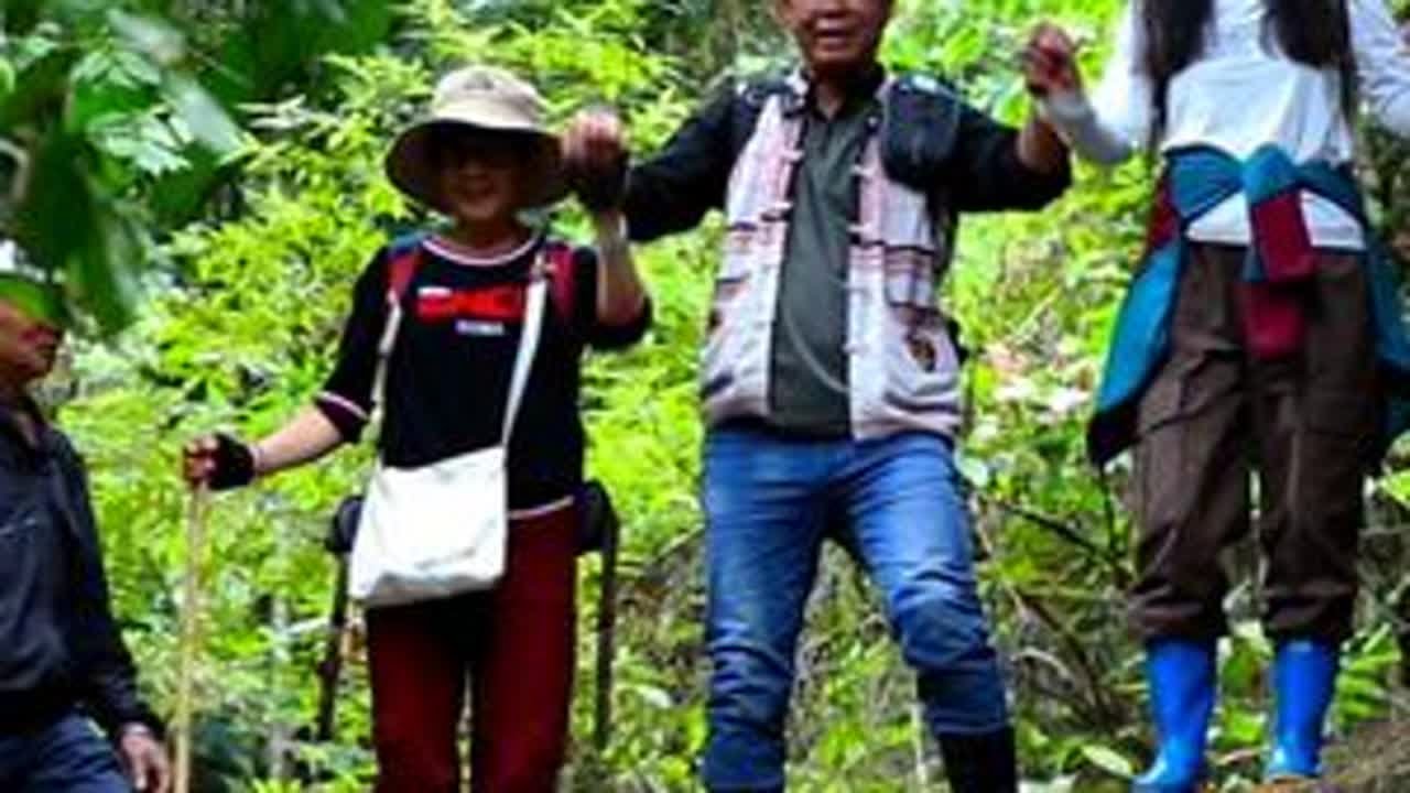 少与人纠缠，多看看大自然，当你找不到答案的时候，就去山里走走，总有一处风景能治愈心灵，卸下满身疲惫，将心放任于天地间，所有的不知所措都将释怀#原始森林 #我们在旅行中被治愈 #航拍版纳#热带雨林...