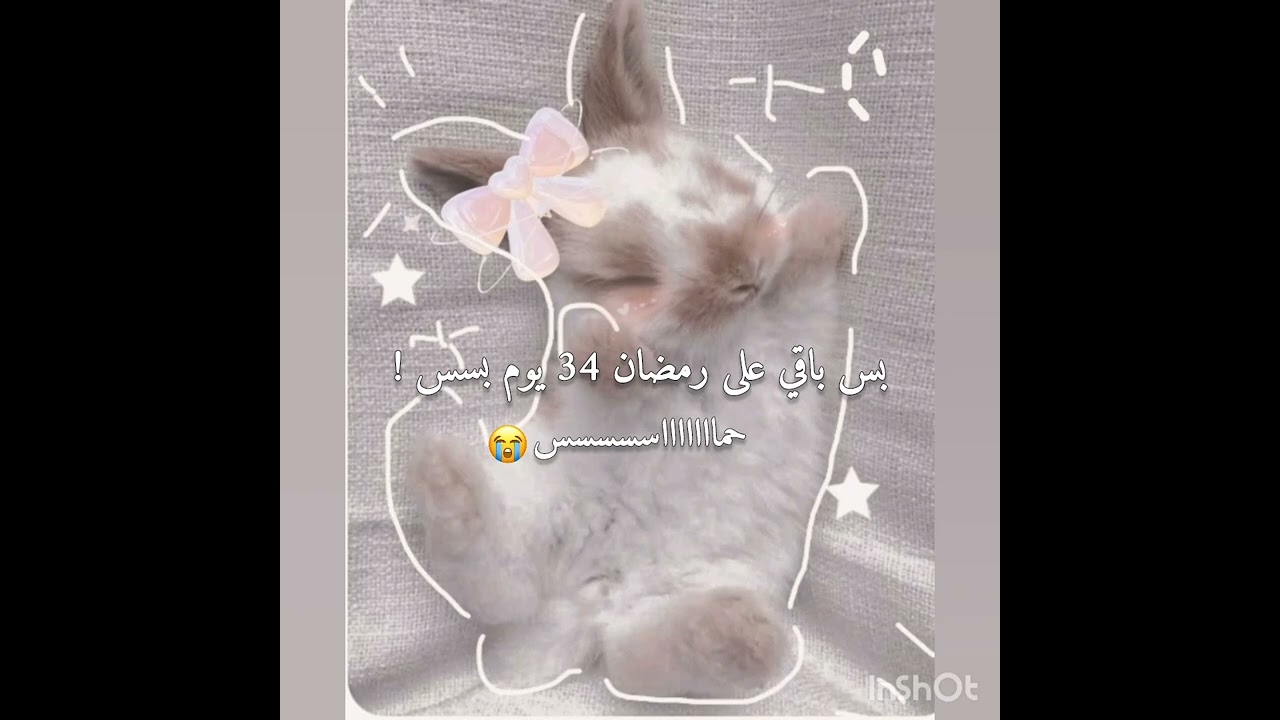 يسسسعععع😭😭