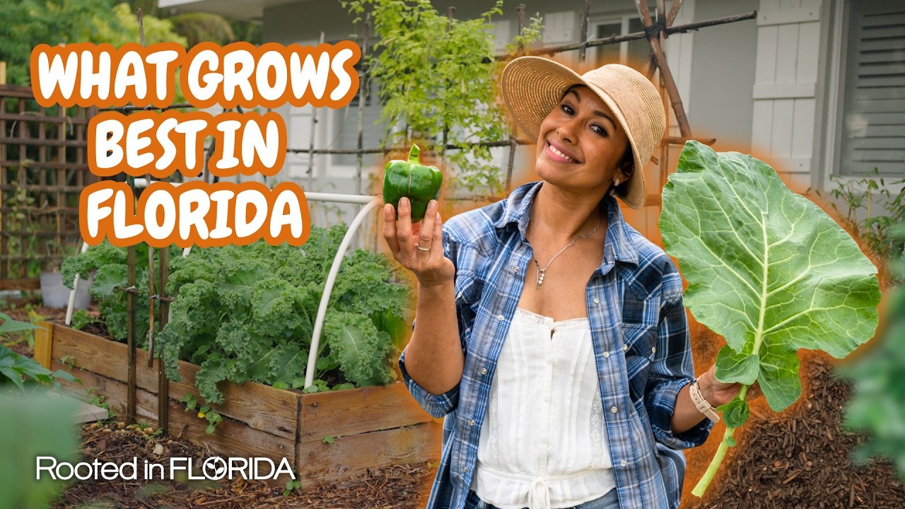 Florida Vegetable Gardening Made EASY: Avoid the Common Beginner Mistakes | Rooted in Florida