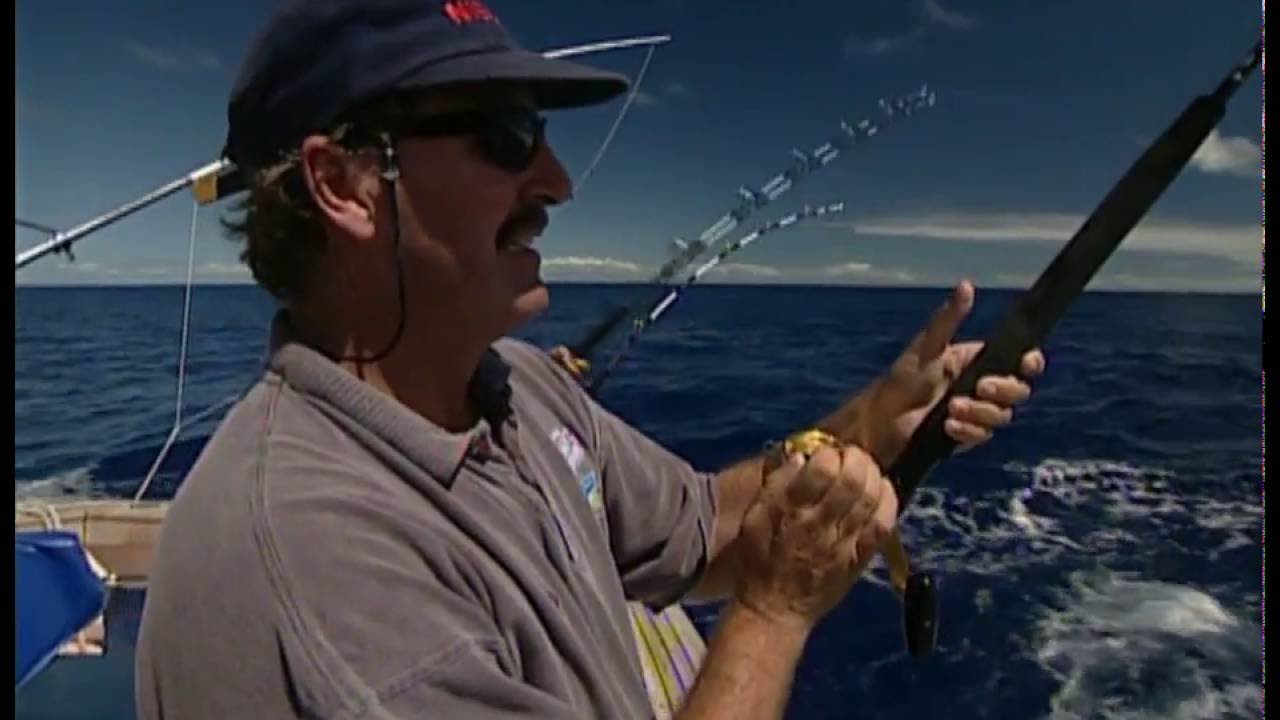 Three Kings, NZ tuna - GONE FISHIN' 