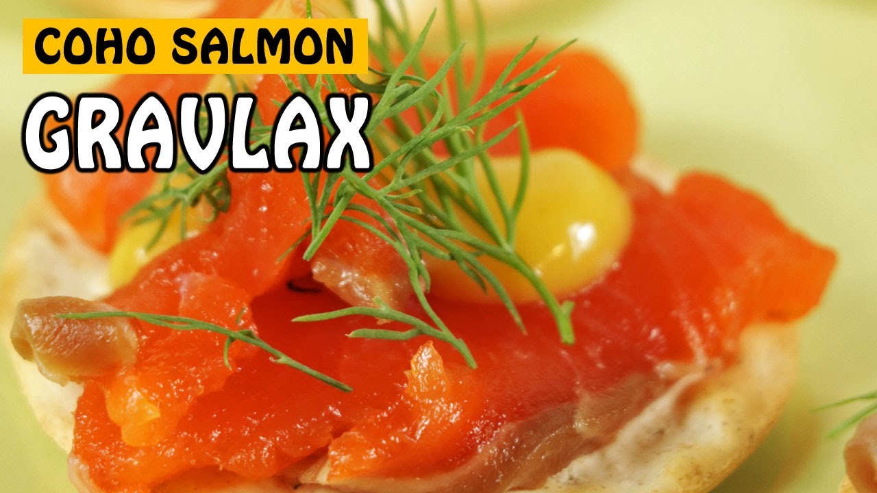 COHO SALMON GRAVLAX - A GREAT SCANDINAVIAN CHRISTMAS RECIPE! | Fishing with Rod