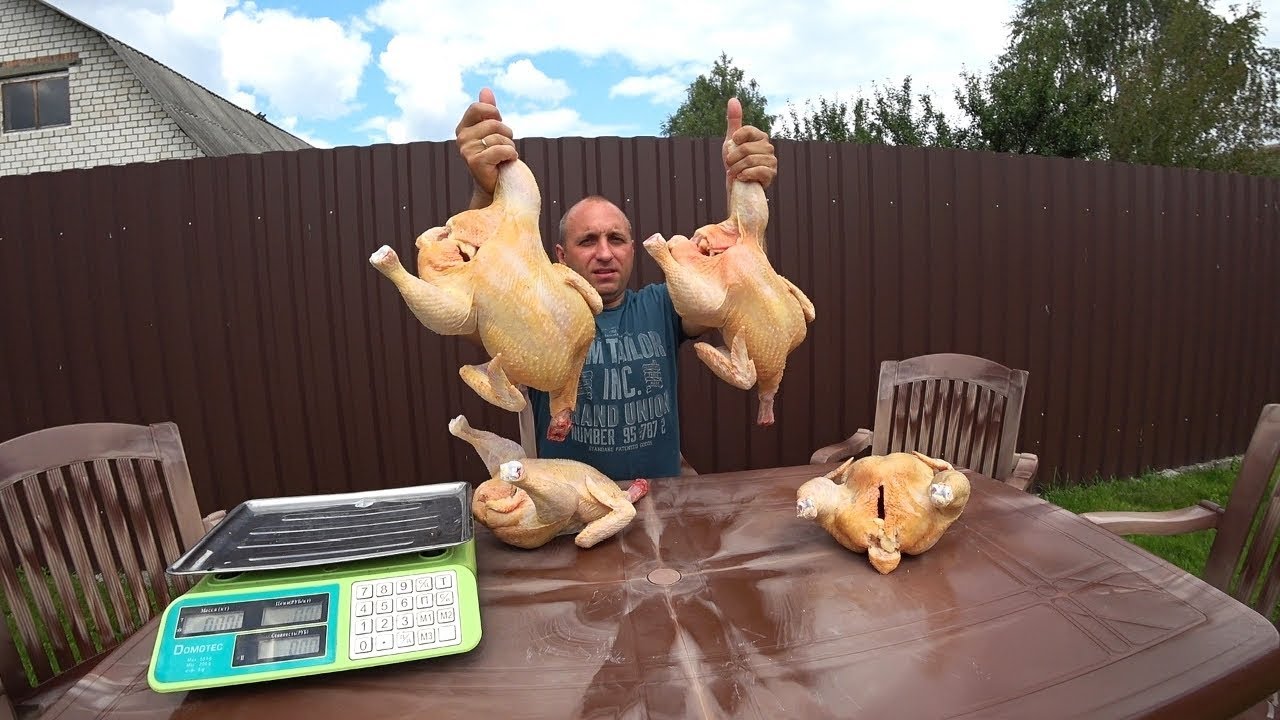 Кобб-500 2 месяца//Подводим итоги