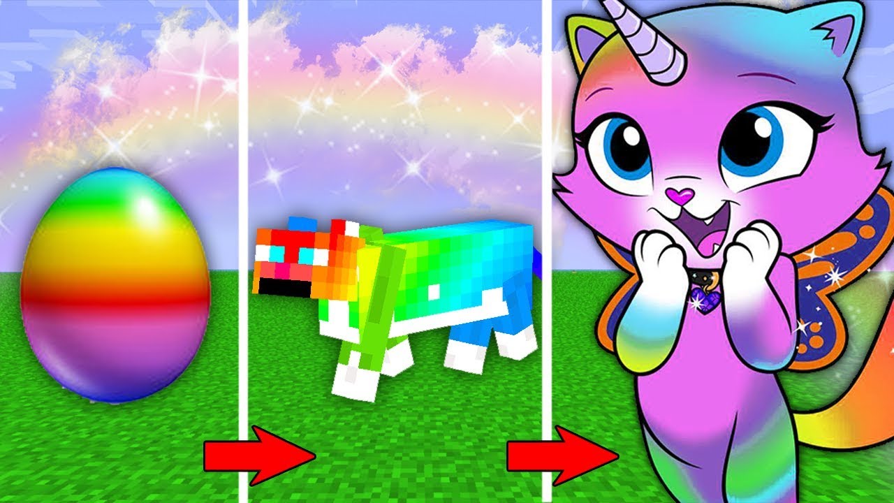 🌈 КАК МЕНЯЛАСЬ ДЕВУШКА РАДУЖНЫЙ КОТ И ЕЁ ЖИЗНЕННЫЙ ЦИКЛ МАЙНКРАФТ!
