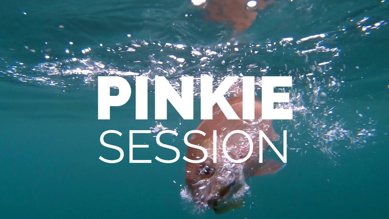 Port Phillip Bay - pinkie snapper on soft plastics