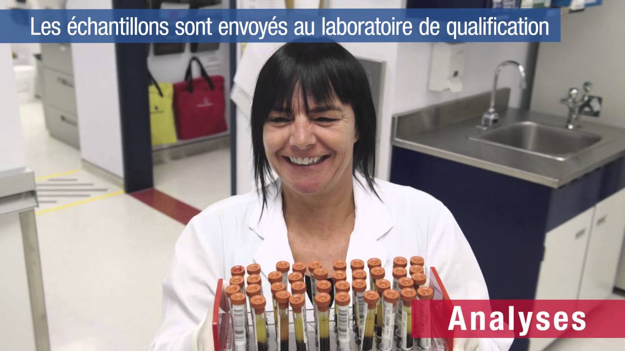 Don de sang : que se passe-t-il après?