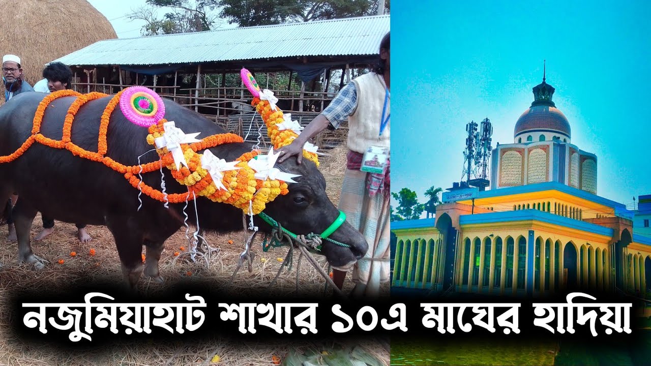 হযরত গাউছুল আজম মাইজভান্ডারীর ওরশ উপলক্ষে হাদিয়া নিয়ে নজুমিয়াহাট শাখার পক্ষ থেকে মওলার কদমে হাজিরা
