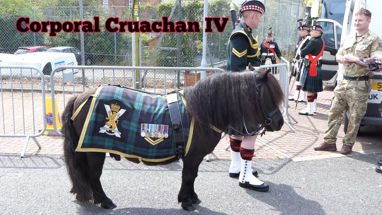 Corporal Cruachan IV - New Pony Major