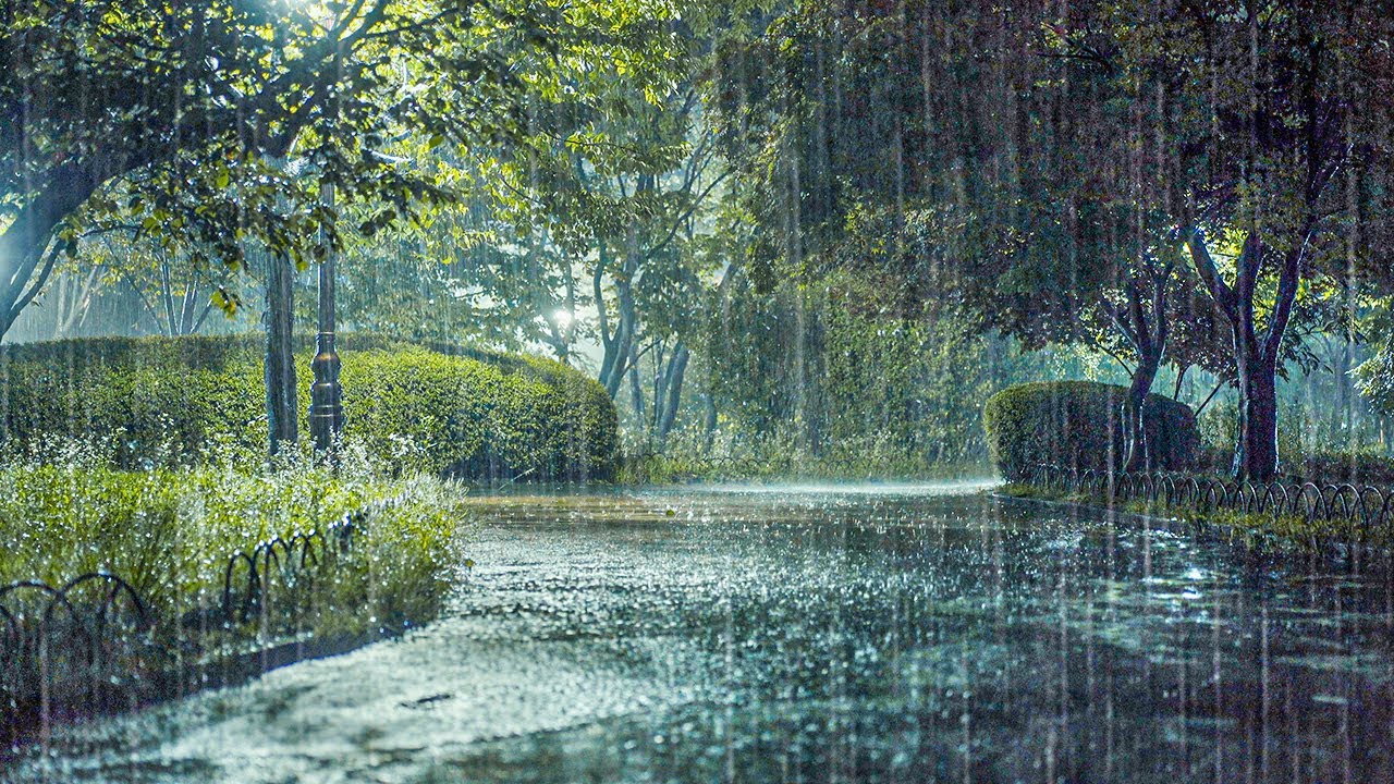 Cozy Rain Sounds for Deep and Fast Sleep | Relaxation, Insomnia Relief, White Noise, Sleep Music