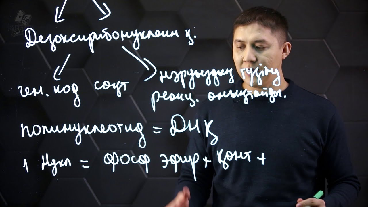 Нуклеин қышқылдары. 11 сынып.