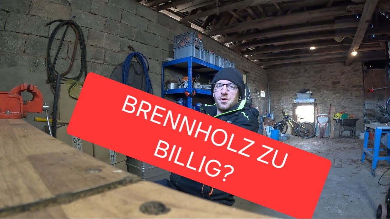 Warum Brennholz eigentlich viel zu billig ist…