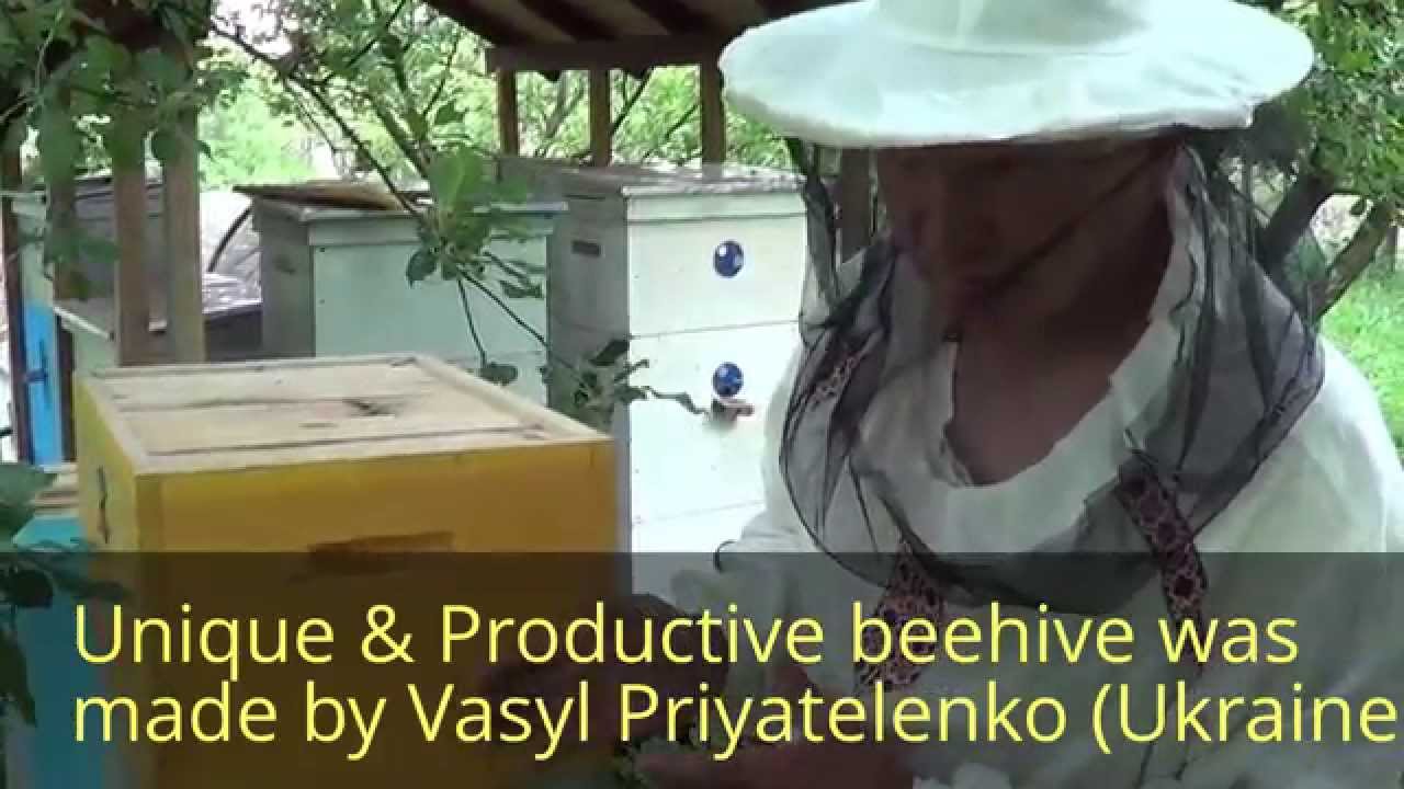 Уникальный идеальный Супер-Улей Василия Приятеленко. Опыт пасеки Василия   Приятеленко в Киеве.