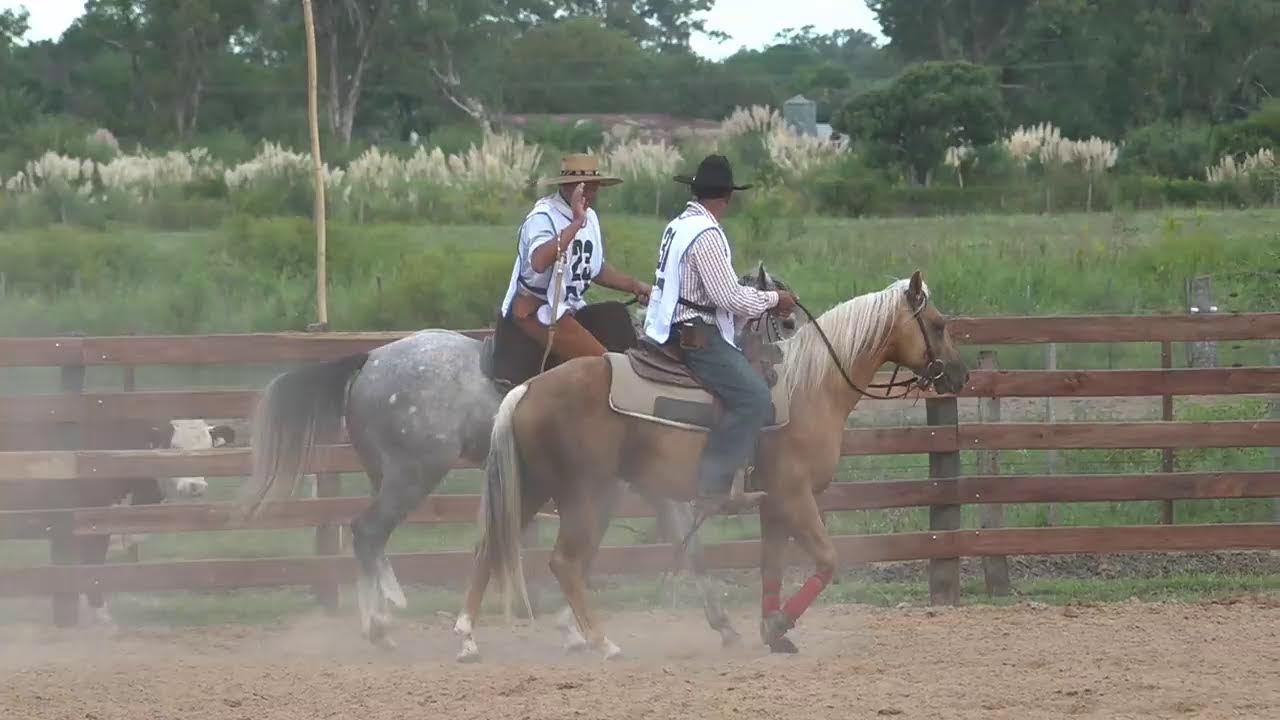 Transmisión en vivo de Prueba de Doma de Bocado o Filete
