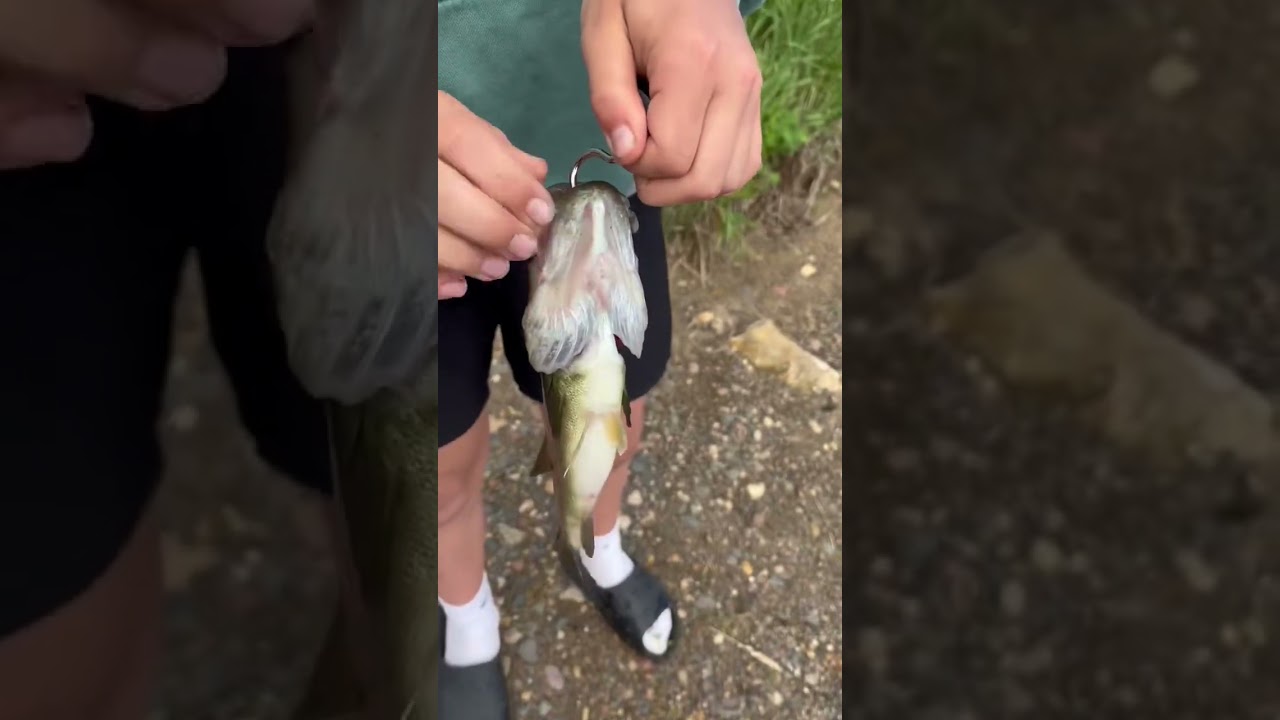 Nice Sized Bass! Glad We Didn’t Get Skunked! 